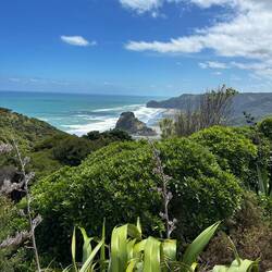 Tschüss Piha, tschüss Westküste...