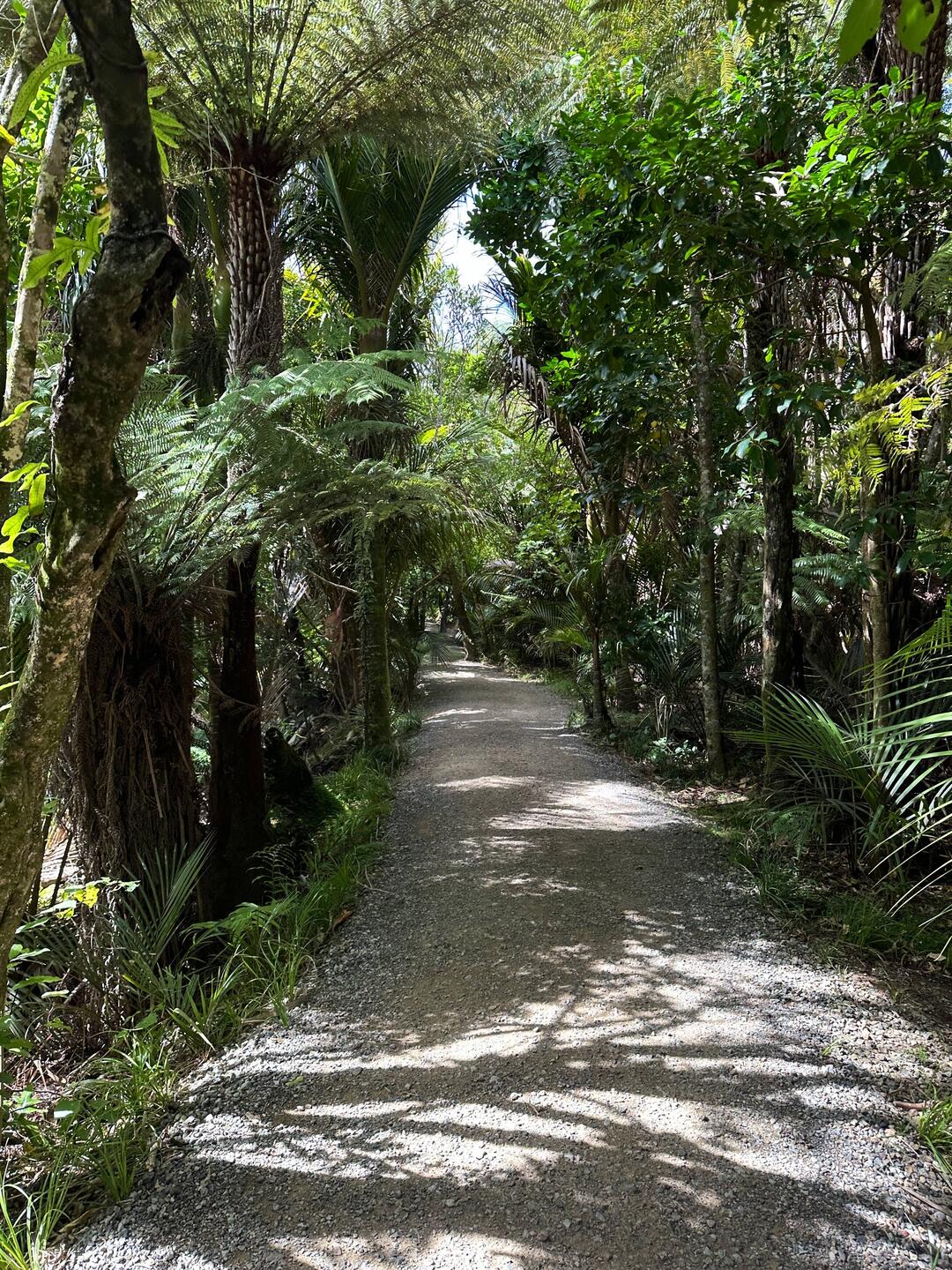 Auf dem Weg zu den Kitekite Falls