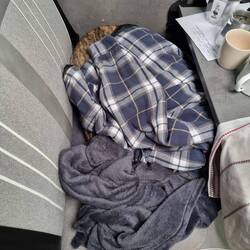 Vor dem Donner gut geschützt.