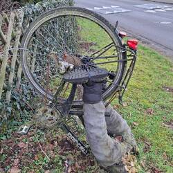 Wird doch wohl nichts passiert sein!🙆