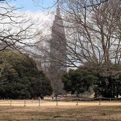 Blick in den Park