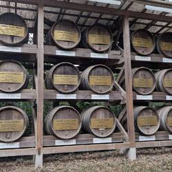 Weinfässer aus Bordeaux.
