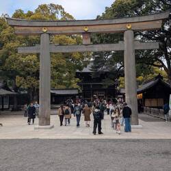 Das große Tori bildet den Eingang zum Tempel