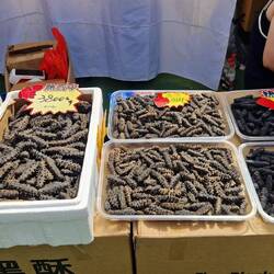 Seegurken, super teuer, 70€/kg. Chinesen schwören drauf