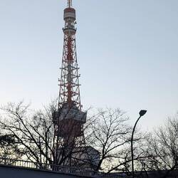Schon von weitem ist der Tokyo Tower sichtbar.