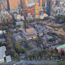Blick von oben auf genau diesen Tempel