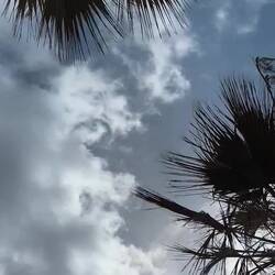 "Der Himmel auf Erden" (Zitat von Tim Ulrichs) "Heaven on earth"