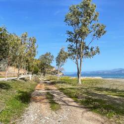..an der Straße zwischen Strand und uns ist kaum Verkehr (zumindest jetzt im Winter😅)