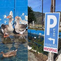 ..es ist ein ganz einfacher Platz,aber was wollen wir mehr?Die Ruhe die wir suchen haben wir hier 👌🏻🍀