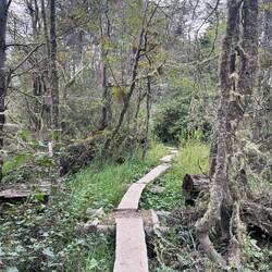 Und auch durch märchenhafte Wälder
