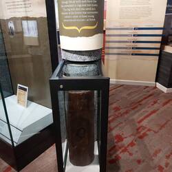 Hier ein Baumstamm in dem eine Kanonenkugel stecken geblieben ist.