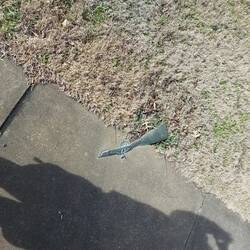 Die eingelassenen Schlachtüberreste auf dem Weg zum Center.