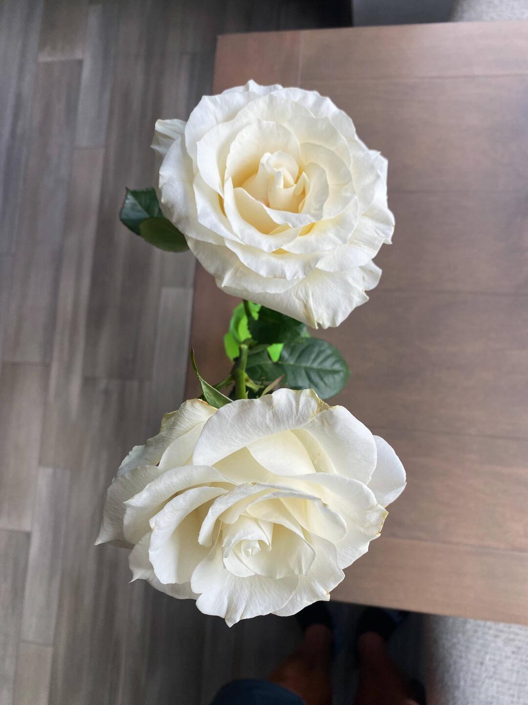 Happy Valentines Day!