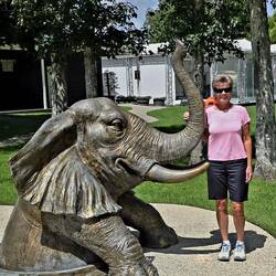 I'm a fan of elephants 😊