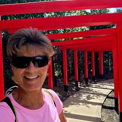 Japanese-inspired torii gate