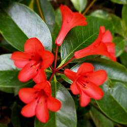 Colorful flowers all around