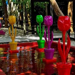 Tulips in a reflecting pool