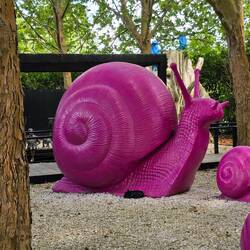 Pink Snails