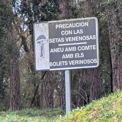 Warnung vor giftigen Pilzen an einem Parkplatz