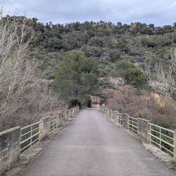 Noch eine kleine Brücke überqueren