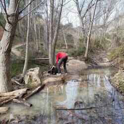 Leni kommt in Sicherheitsverwahrung.
