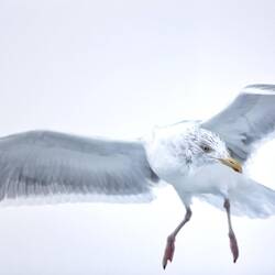 Die gab's natürlich auch