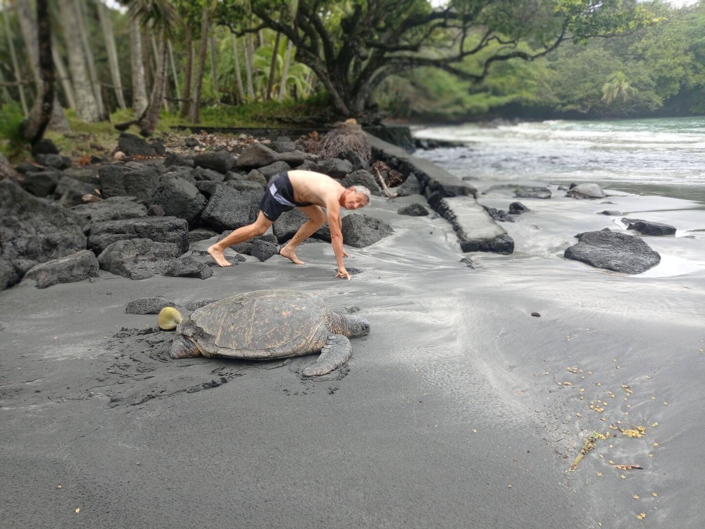 Le lièvre et la tortue