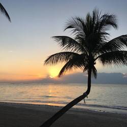 Guten Morgen Akumal