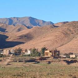 Hier wächst der Safran. Ernte im November. Jetzt nur kahle Felder