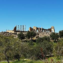 Roman ruins Volubilis in the distance
