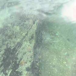 Quizfrage: Was sieht man hier?