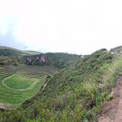 Das wackere Grüppli