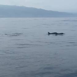 Delfine ❤️❤️❤️