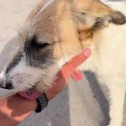 Bei meiner Runde durch die Stadt treffen ich die Süße hier 😍