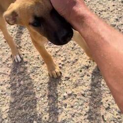 Und dann treffe ich die am Parkplatz 😍