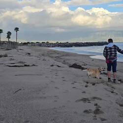 Da hat jemand große Freude 🐕‍🦺😍