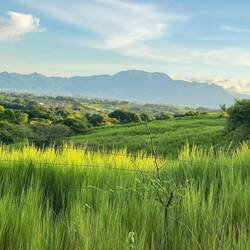A viewpoint at Sam's village in the foothills above Nadi.