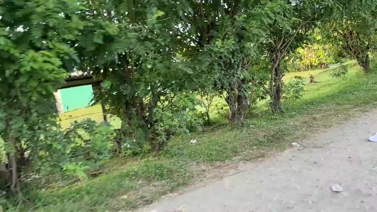 Sam's village in the foothills above Nadi.