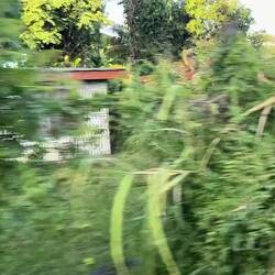 Sam's village in the foothills above Nadi.