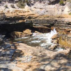 Blowhole