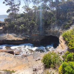 Blowhole