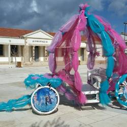 Wagen mit Eisprinzessin-Motiven.