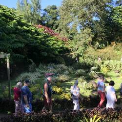 ...wo laufen sie den?