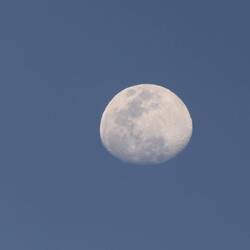 Der Mond in seiner ganzen Pracht