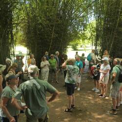 Im Botanischen Garten, nicht so schön wie gestern