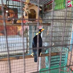 Der Typ hat Happy Birthday gesungen