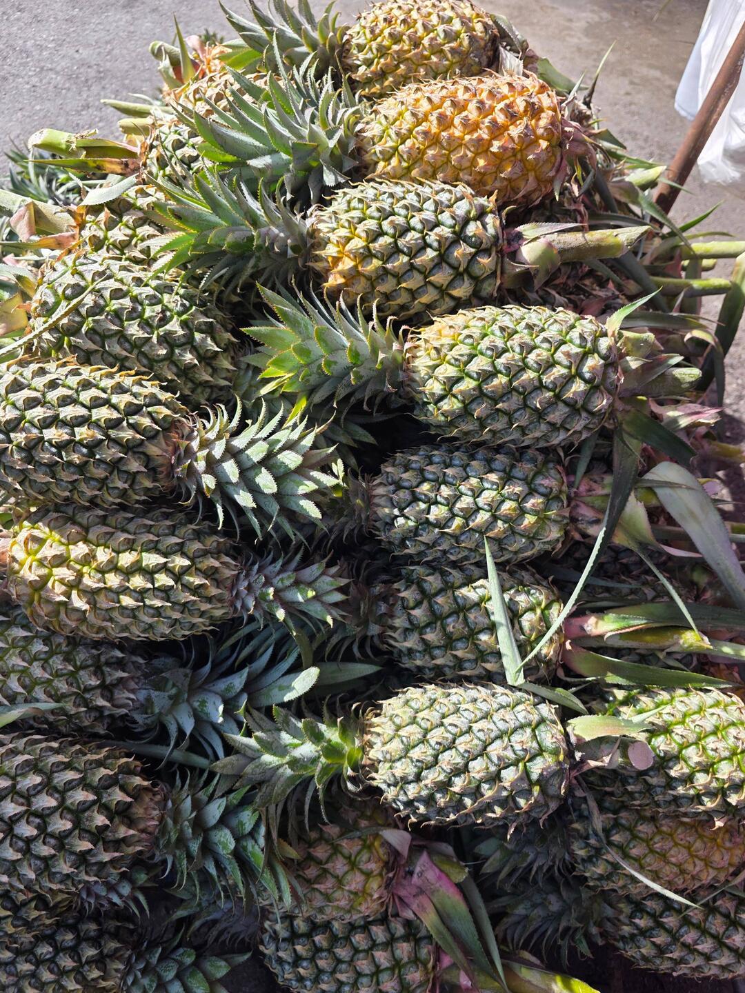 Phuket Ananas