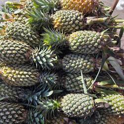 Phuket Ananas