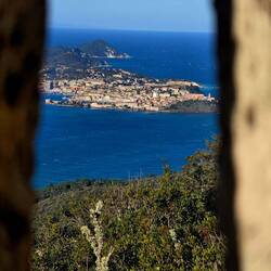 Pogled skozi lino...