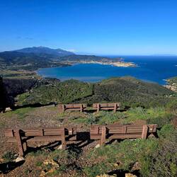 Verjamem, da poleti niso prazne te klopce